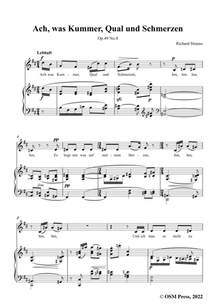 Richard Strauss-Ach,was Kummer,Qual und Schmerzen,in b minor image number null