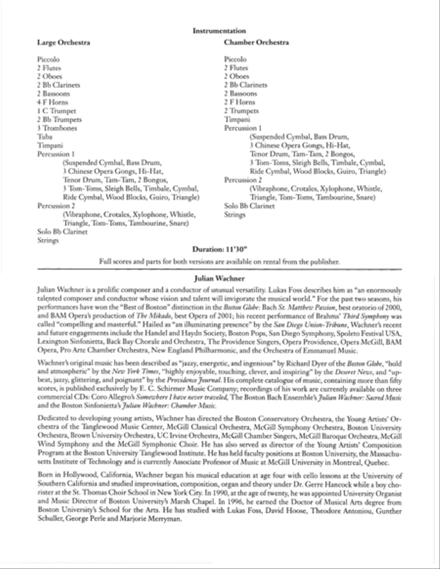 Concerto for Clarinet and Orchestra Chamber Orchestra scores gallery preview page 1
