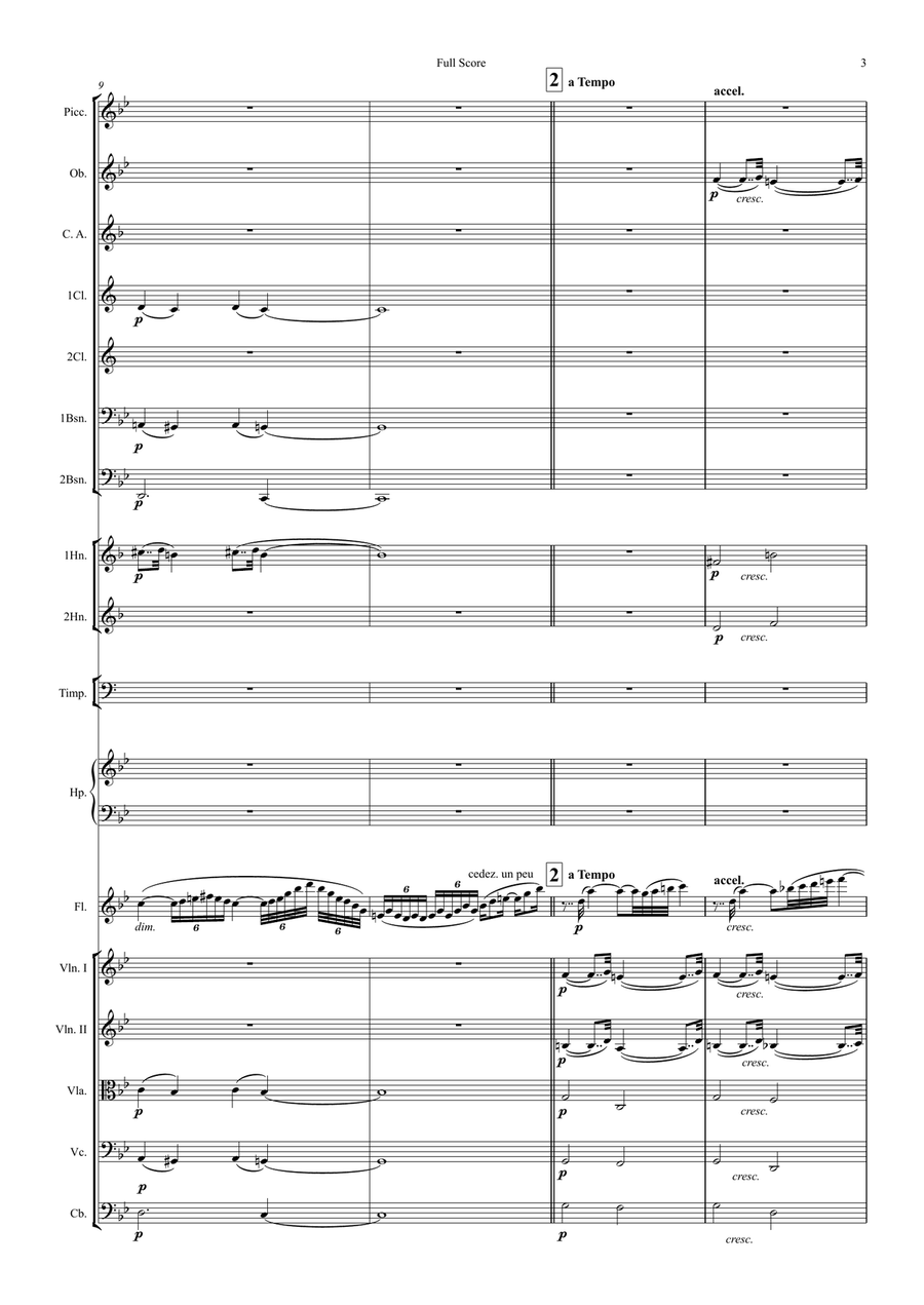 Fantasie for Flute & Symphony Orchestra (arr.) Full Score Chamber Orchestra scores gallery preview page 3