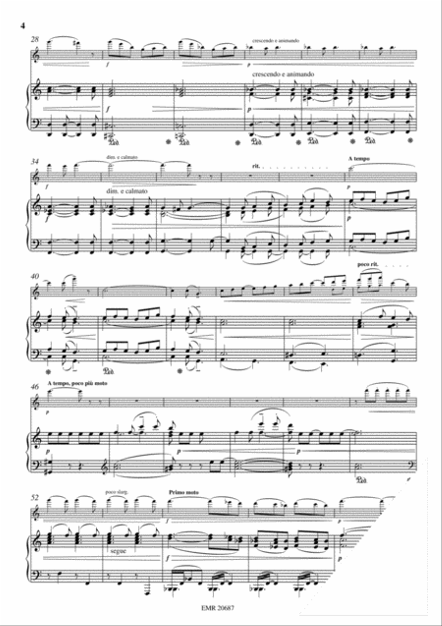 Cavatine Flute Solo scores gallery preview page 4