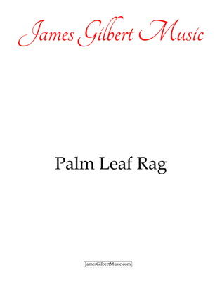 Book cover for Palm Leaf Rag