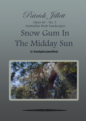 Snow Gum in the midday sun - Australian Bush Landscapes