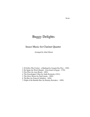 Book cover for Buggy Delights, Insect Music for Clarinet Quartet SCORE