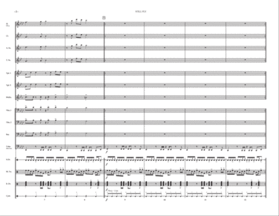 Still Fly Marching Band scores gallery preview page 2