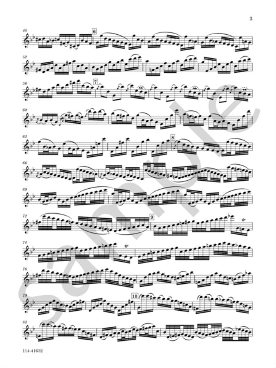 Chaconne From Partita No. 2 in D minor (Originally For Violin, BWV 1004) Chamber Music scores gallery preview page 4