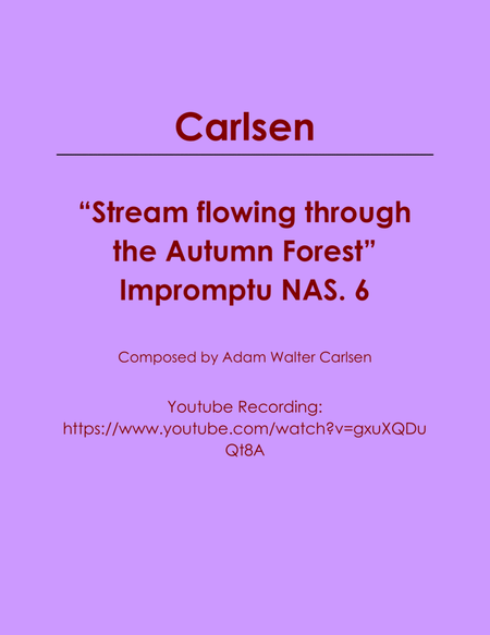Stream flowing through the Autumn Forest Impromptu NAS. 6 image number null