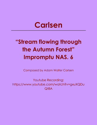 Stream flowing through the Autumn Forest Impromptu NAS. 6