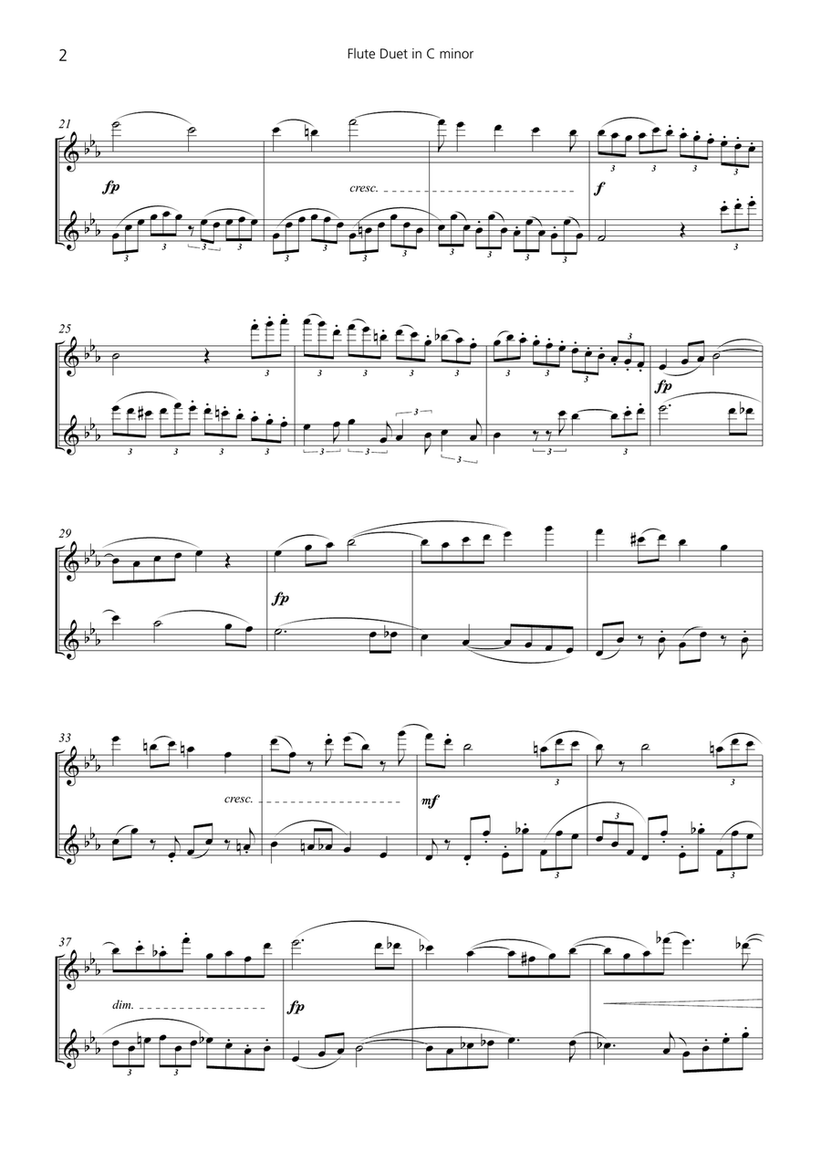 Flute Duet in C minor Flute Duet scores gallery preview page 2