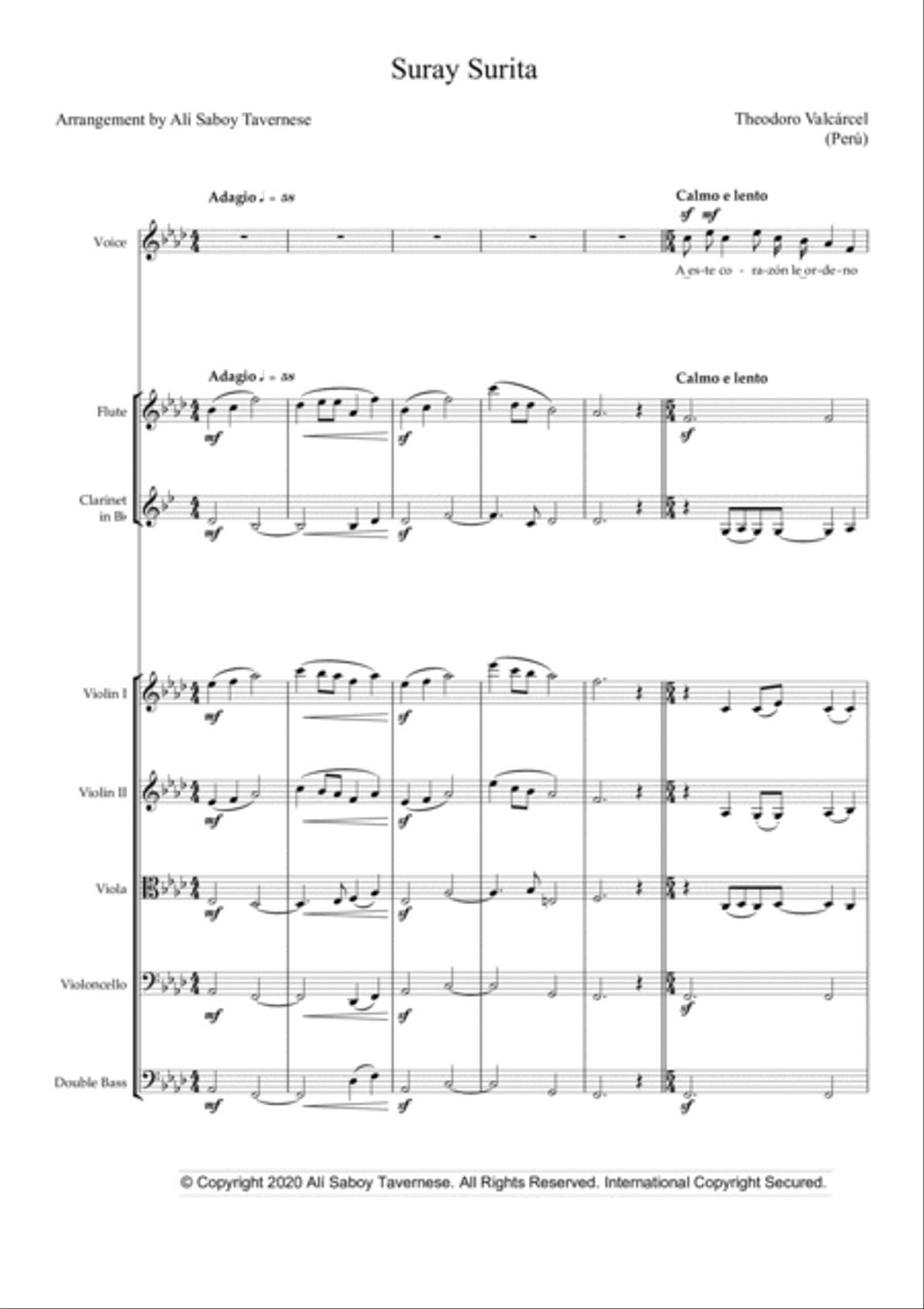 Suray Surita Small Ensemble scores gallery preview page 4
