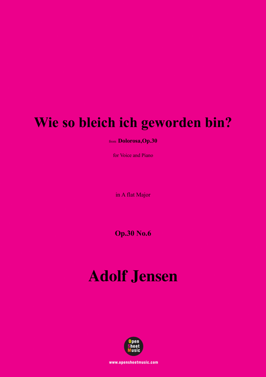 A. Jensen-Wie so bleich ich geworden bin?,Op.30 No.6,in A flat Major Voice scores gallery preview page 1