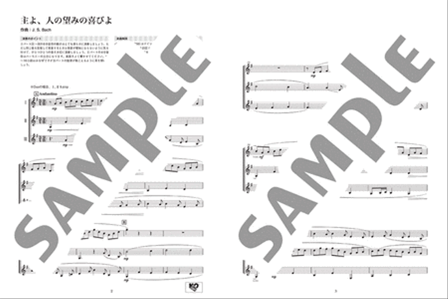 Ensemble de Classic - Classical Melodies for Clarinet Ensemble Clarinet Trio scores gallery preview page 2