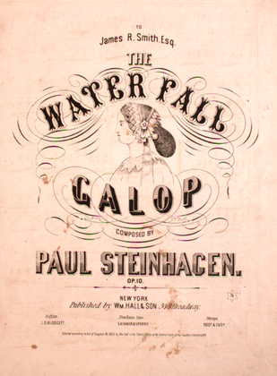Book cover for The Water Fall Galop