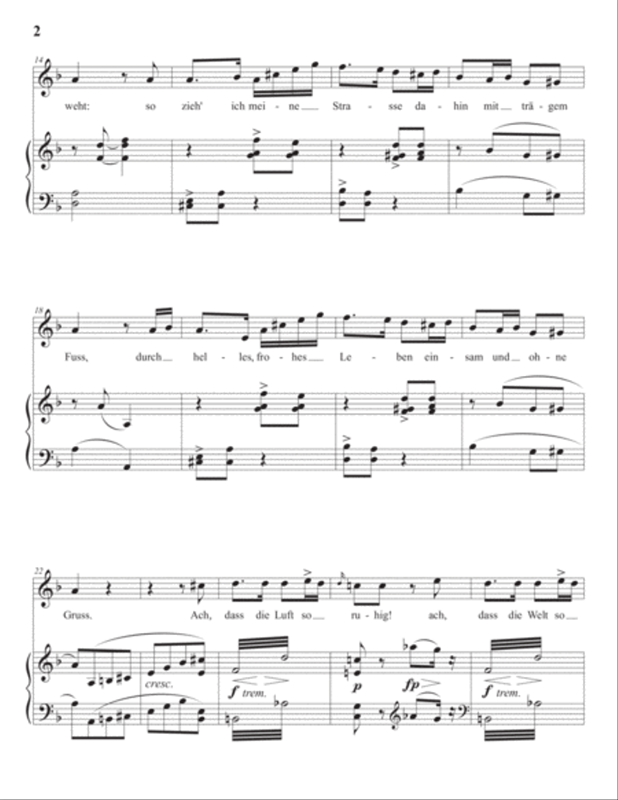 SCHUBERT: Einsamkeit, D. 911 no. 12 (transposed to D minor) Voice scores gallery preview page 3