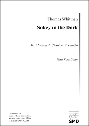 Book cover for Sukey in the Dark