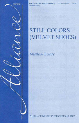 Book cover for Still Colors (Velvet Shoes)