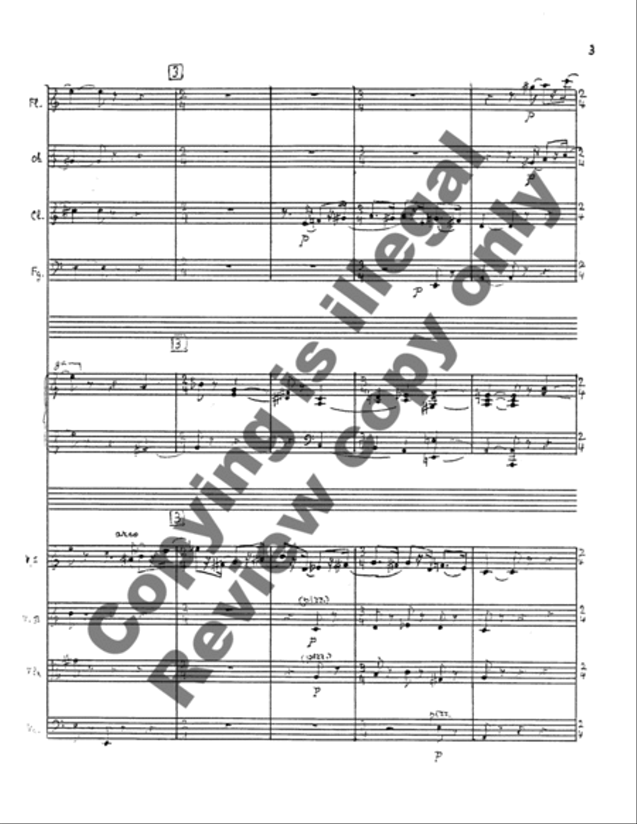 Nonetto Nonetto Chamber Orchestra scores gallery preview page 11