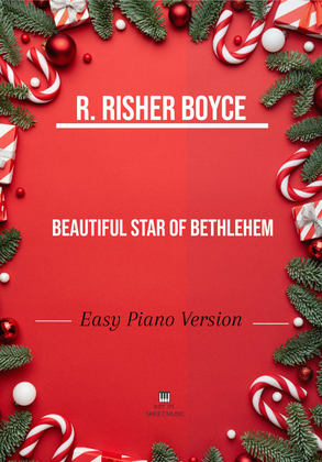 Book cover for Beautiful Star Of Bethlehem