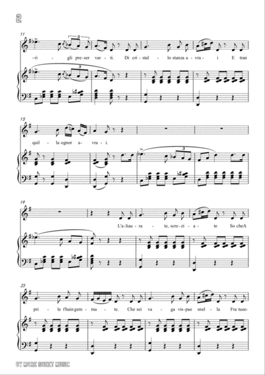 Bellini-La farfalletta in G Major,for voice and piano Voice Solo scores gallery preview page 4
