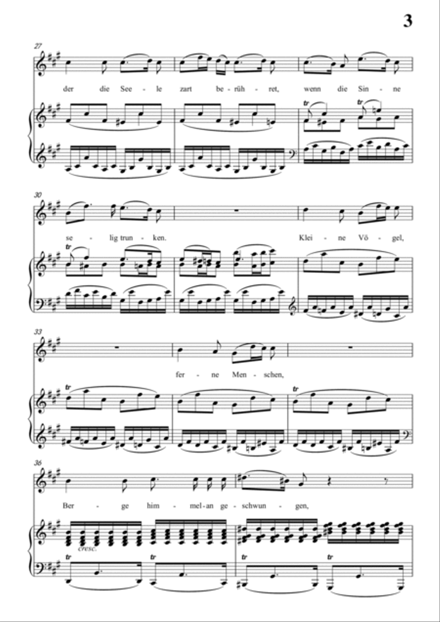 Schubert-Abendröth in A for Vocal and Piano Voice scores gallery preview page 4