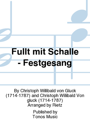 Book cover for Fullt mit Schalle - Festgesang