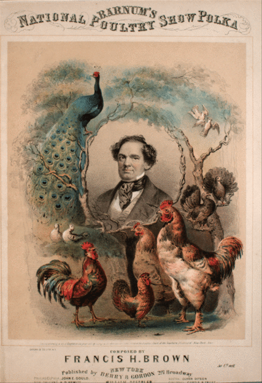 Barnum's National Grand Poultry Show Polk Piano Solo scores gallery preview page 1