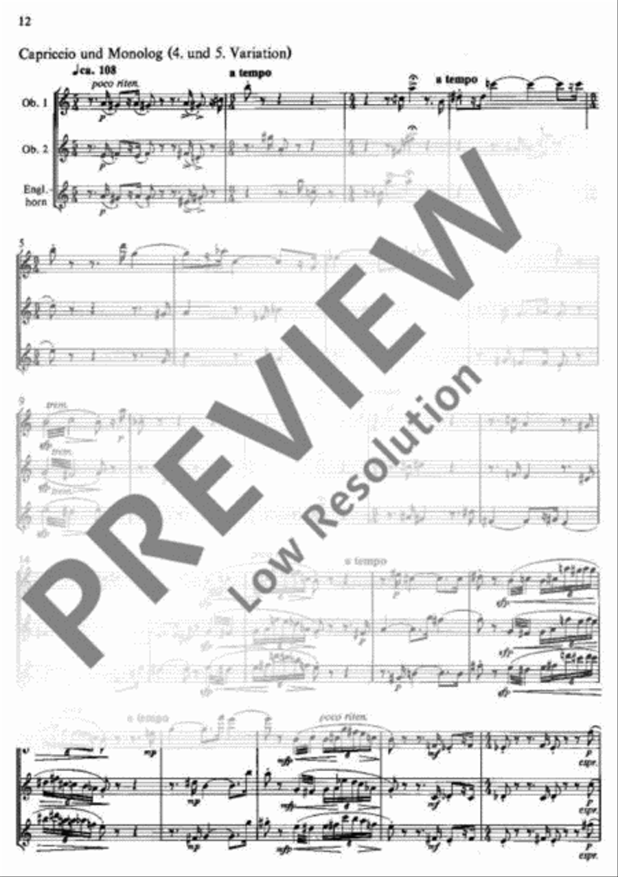 Hindemith Variations English Horn scores gallery preview page 13