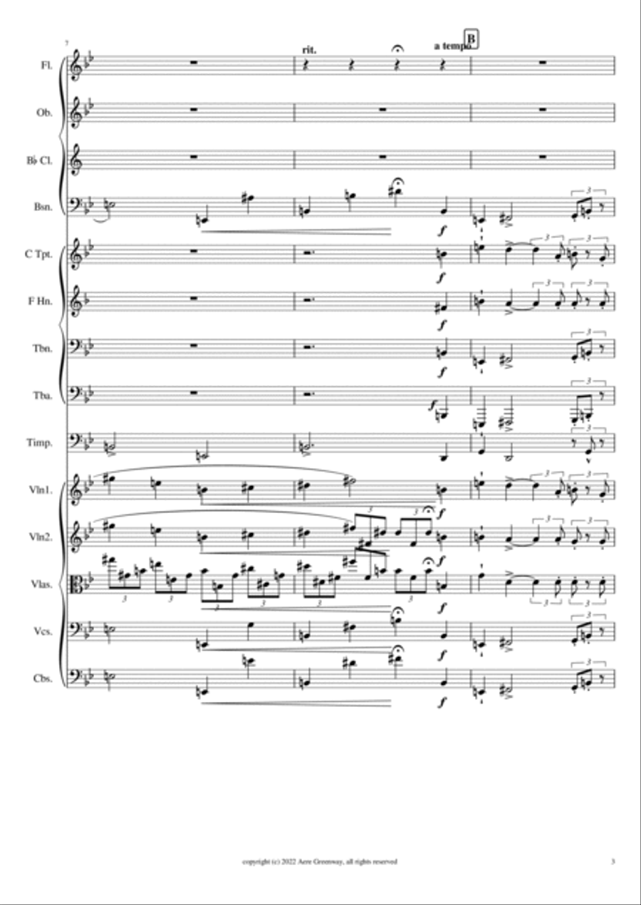 Brahms Rhapsody Opus 79 No. 2, arranged for orchestra Full Orchestra scores gallery preview page 4