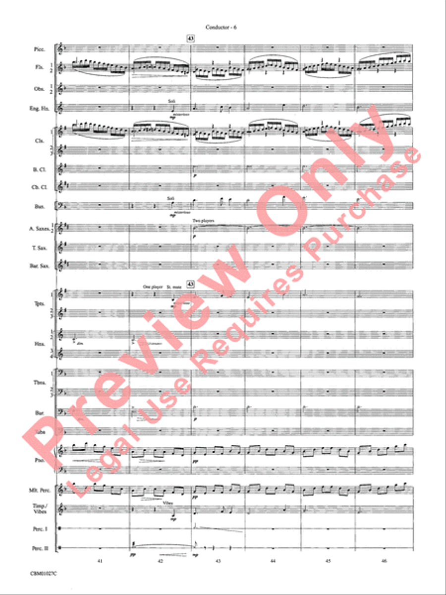Harry Potter Symphonic Suite Concert Band scores gallery preview page 9
