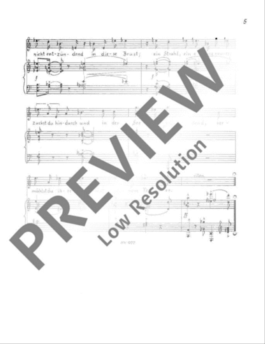 Letzter Ricarda Huch-Zyklus Soprano Voice scores gallery preview page 8