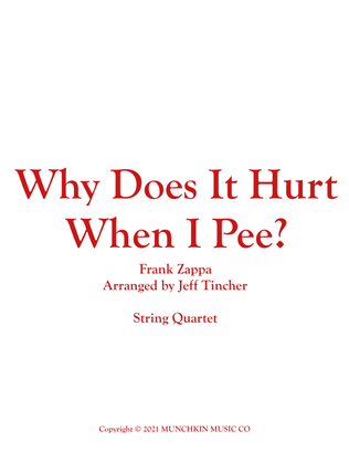 Book cover for Why Does It Hurt When I Pee