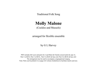 Book cover for Molly Malone (Flexible Ensemble)