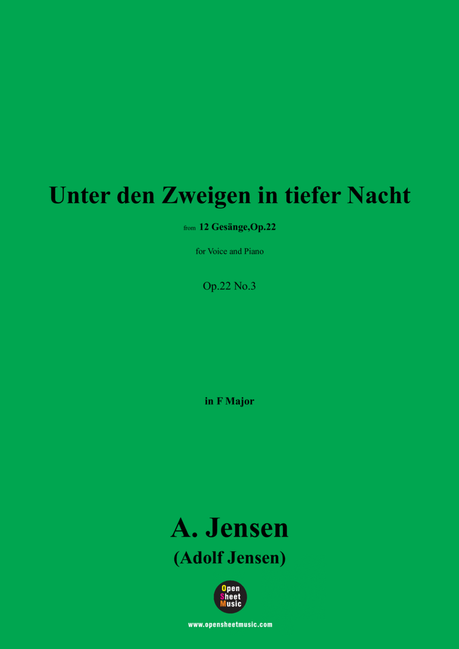 A. Jensen-Unter den Zweigen in tiefer Nacht,in F Major,Op.22 No.3 Voice scores gallery preview page 1