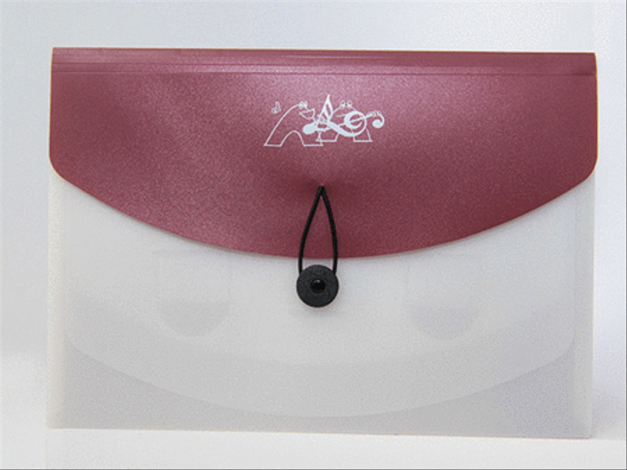 Document Wallet (Red) School and Community scores gallery preview page 1