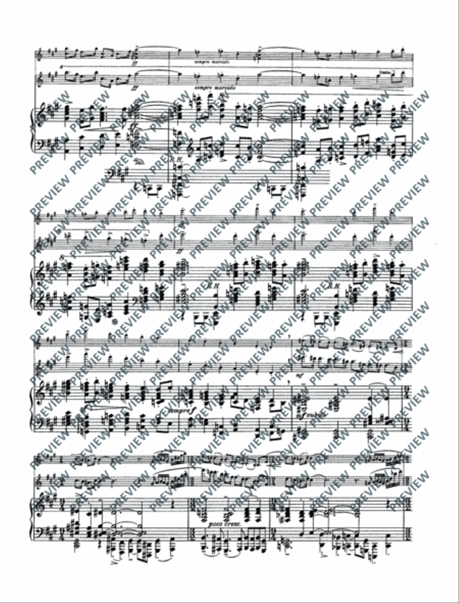 Variations on a theme by Edvard Grieg Flute Solo scores gallery preview page 10