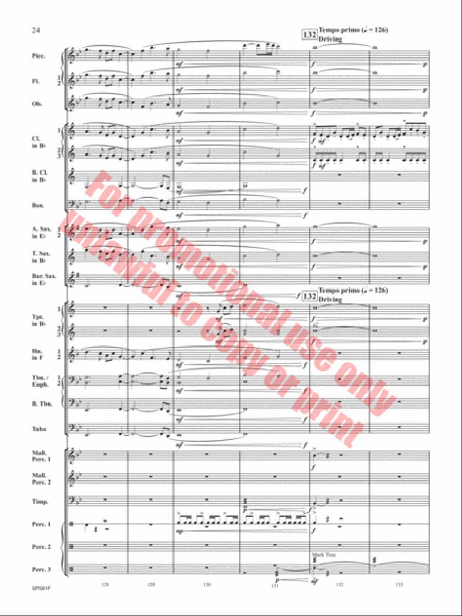 The Lake in the Sky The Lake in the Sky Concert Band scores gallery preview page 25