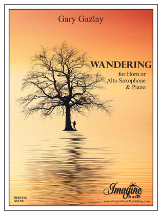 Book cover for Wandering