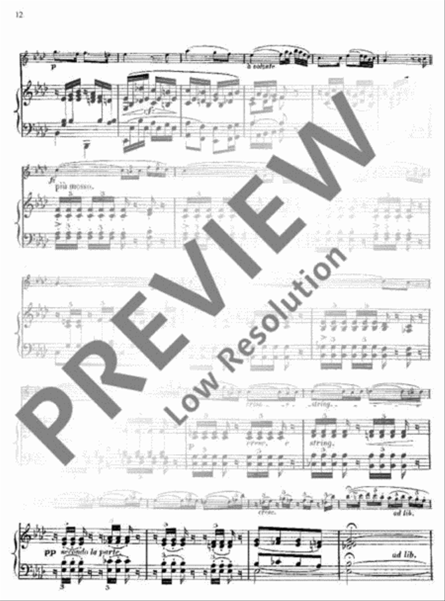 Fantaisie sur des airs écossais Flute scores gallery preview page 13