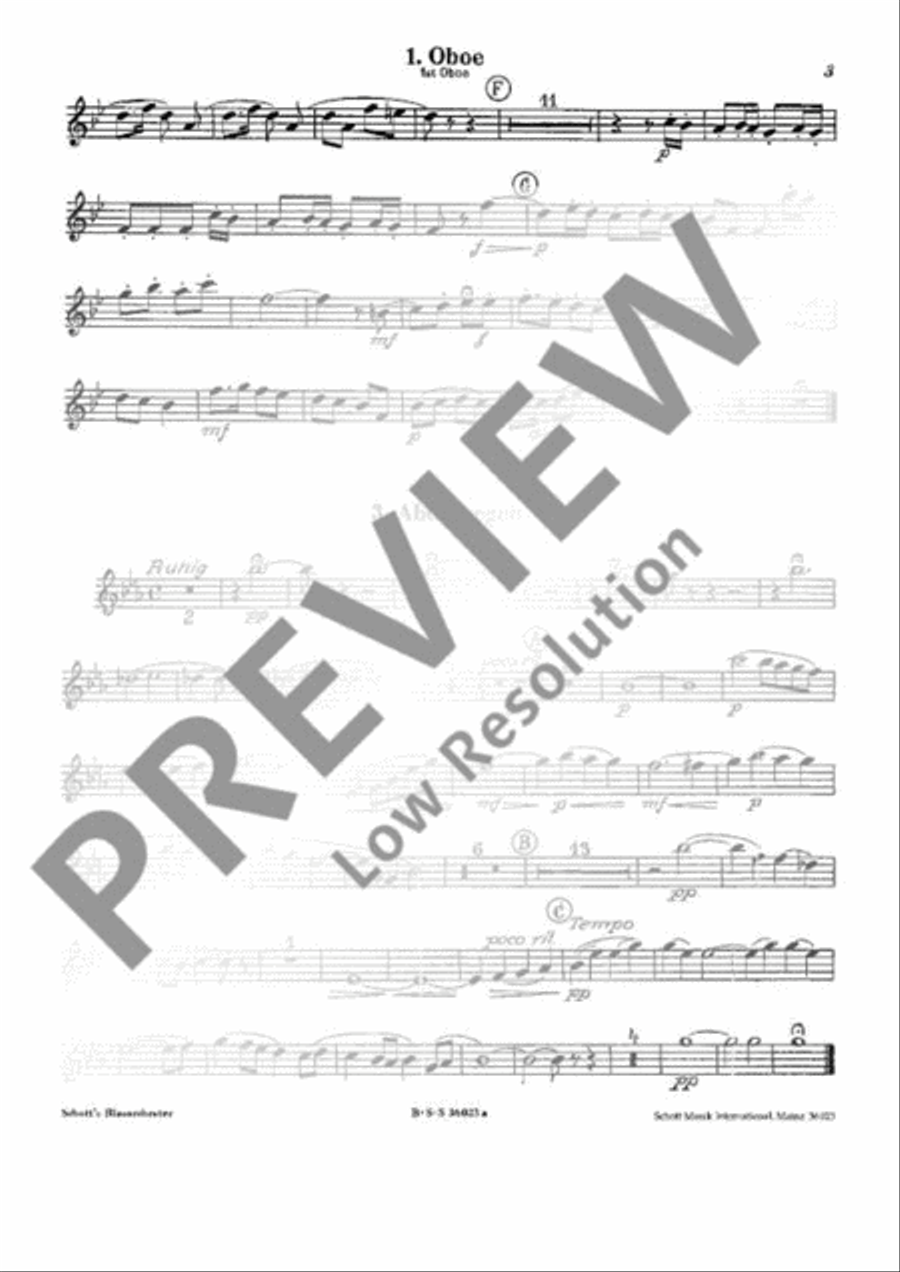 Hansel and Gretel Concert Band scores gallery preview page 17