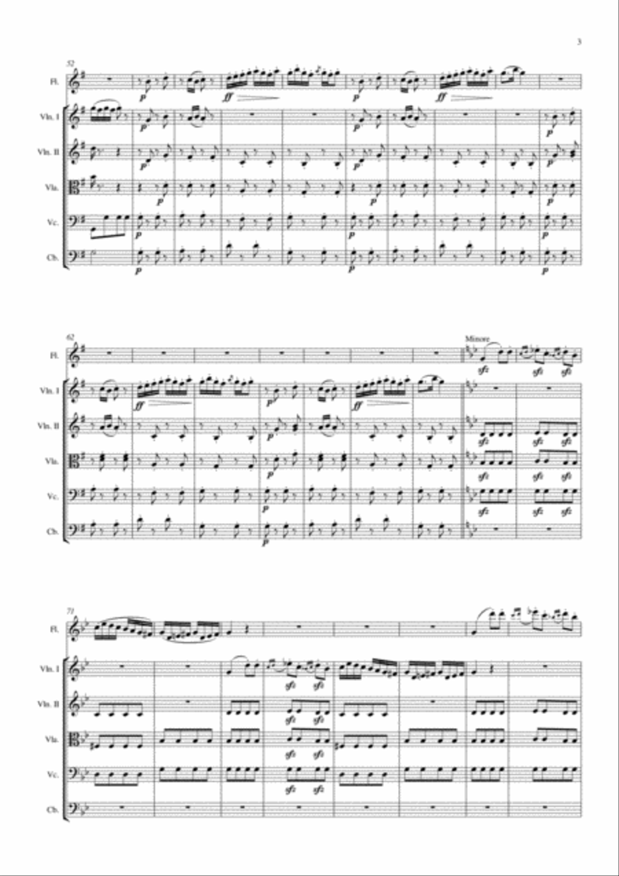 Gipsy Rondo Chamber Orchestra scores gallery preview page 3