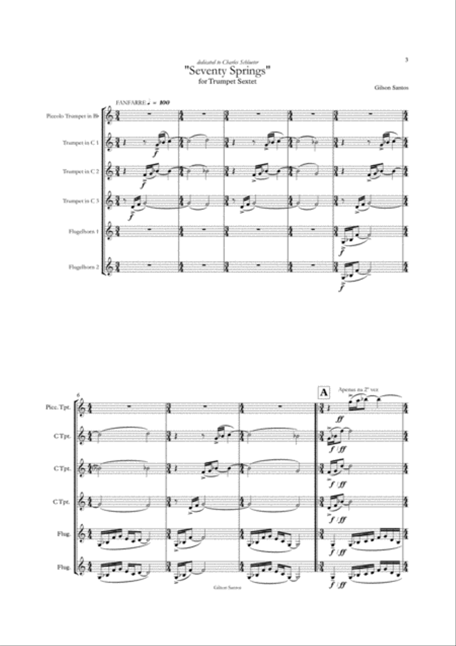 Seventy Springs Chamber Orchestra scores gallery preview page 6
