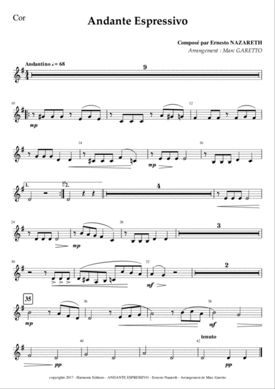 Andante Espressivo - Ernesto NAZARETH - for Chamber Orchestra Chamber Orchestra scores gallery preview page 4