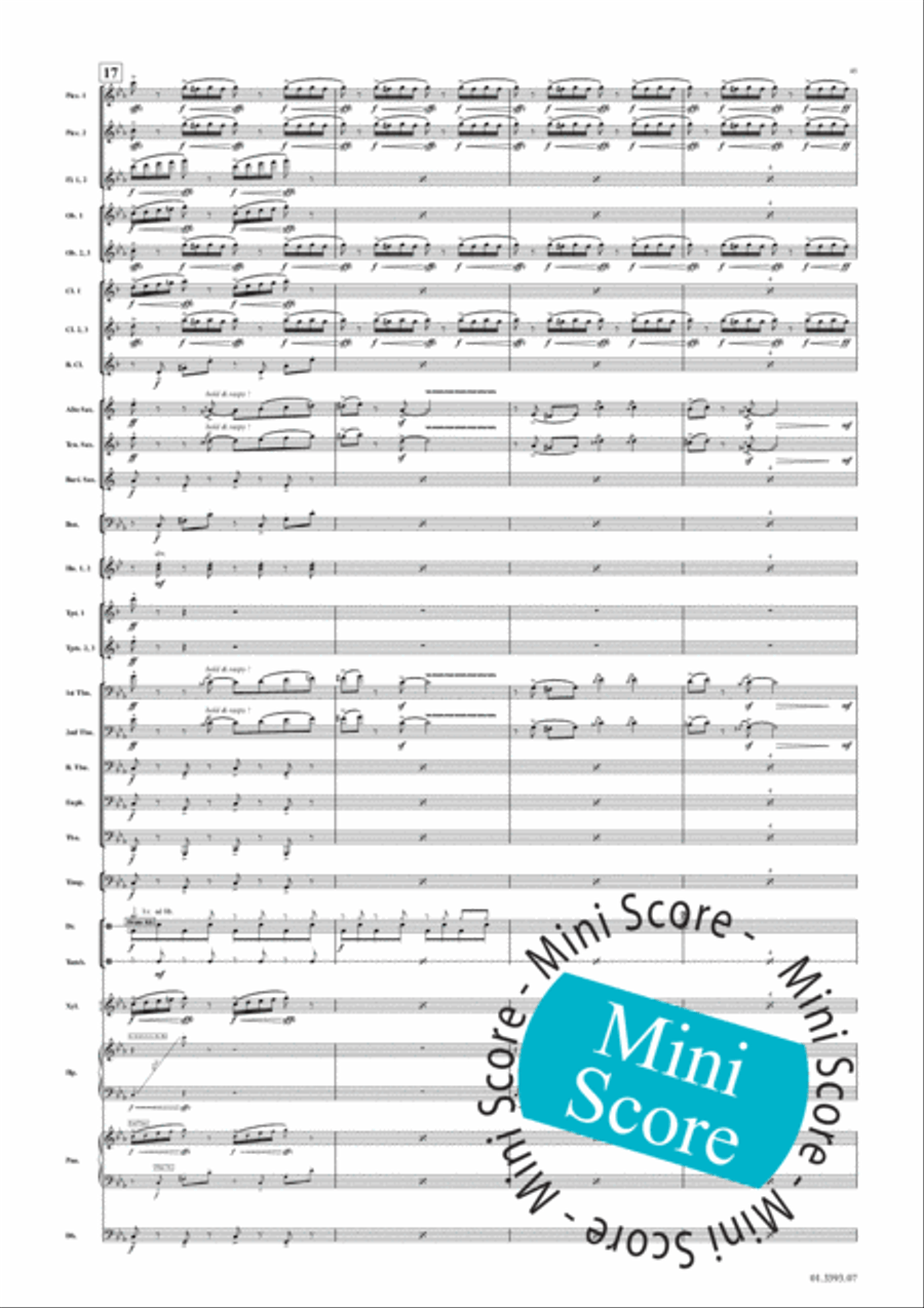 Meet the Ernest Twins Meet the Ernest Twins Concert Band scores gallery preview page 49