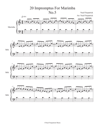 Impromptu No.5 For Marimba