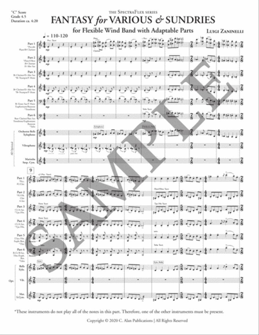 Fantasy for Various & Sundries (condensed score) Flexible/Adaptable scores gallery preview page 4