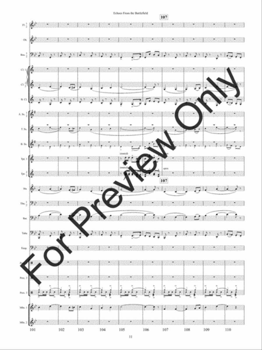 Echoes from the Battlefield (Score) Concert Band scores gallery preview page 14