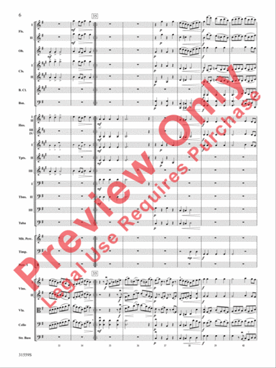 Variations on a Theme by Haydn (score only) Full Orchestra scores gallery preview page 7