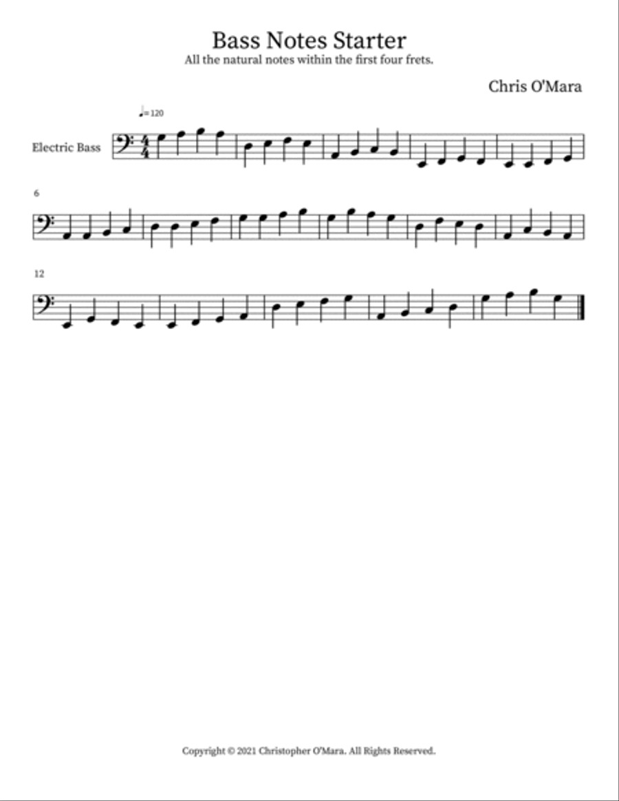 Bass Notes Starter