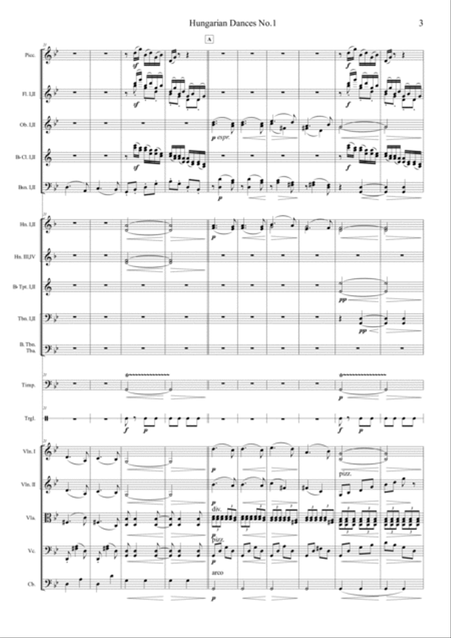 Hungarian Dances No.1 in G minor, Allegro molto Full Orchestra scores gallery preview page 3