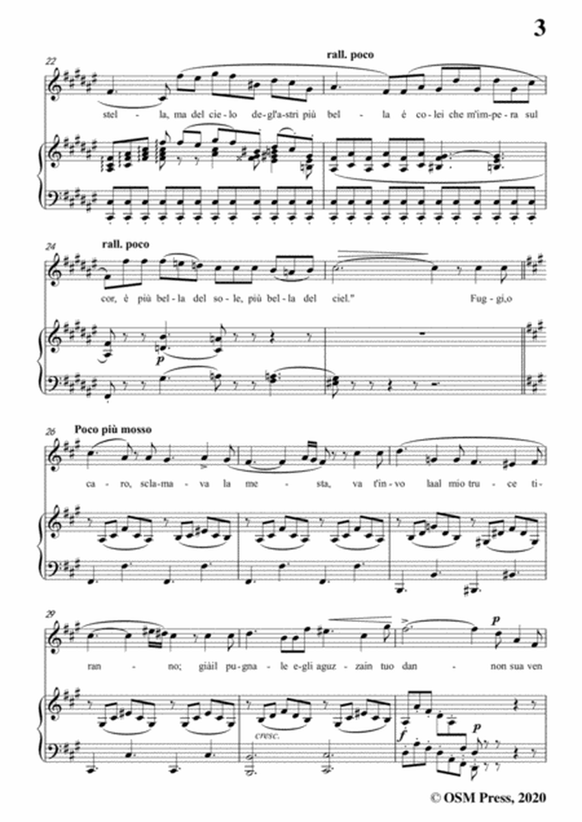 Donizetti-La Sultana,in f sharp minor,for Voice and Piano