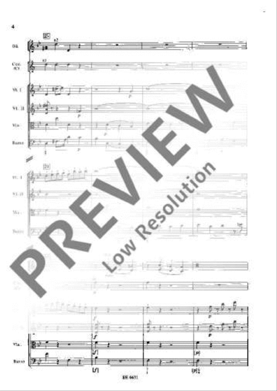 Symphony G minor Orchestra scores gallery preview page 13